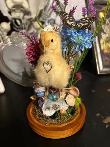 Baby chick wearing a heart pendant.