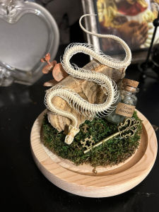 Oddity diorama featuring taxidermy mice among scattered coins and gothic charms.