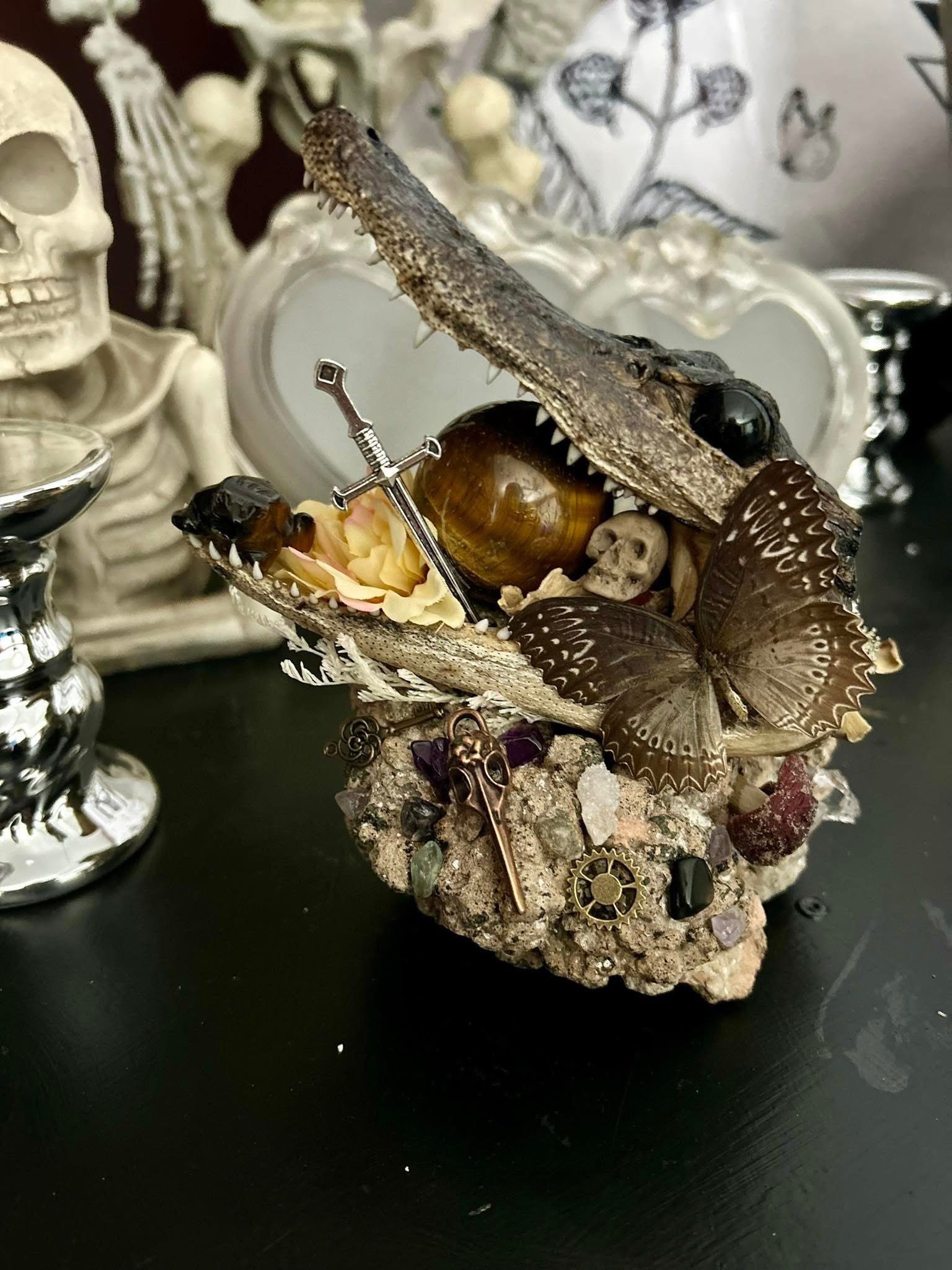 Crocodile Taxidermy Example